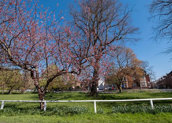 Διαμέρισμα The Old - The Hole In The